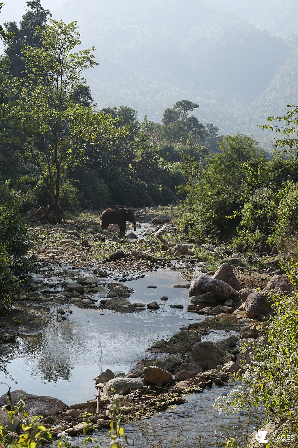 GHV Green Hill Valley - Magwe village