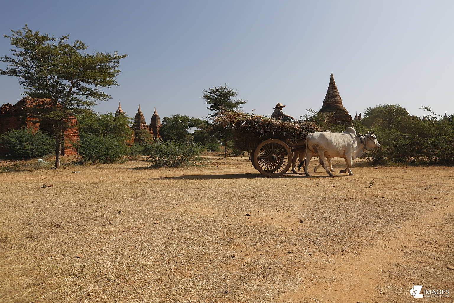 Bagan