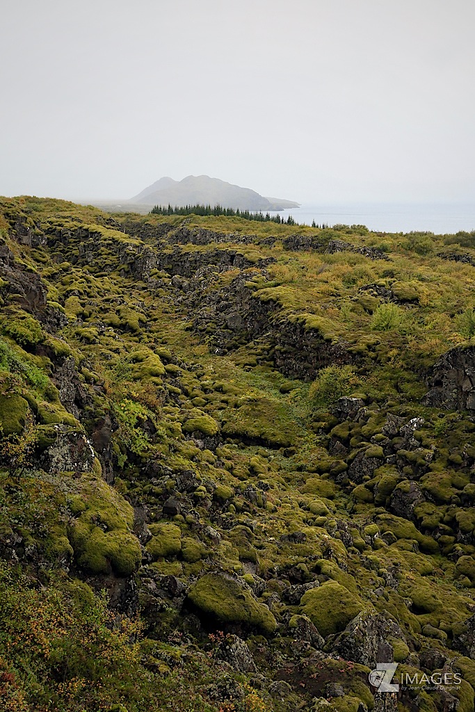 Hrafnagia Þingvellir