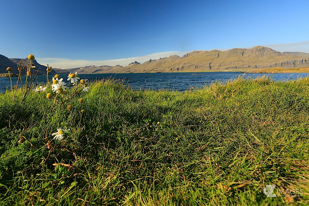 Búlandsnes