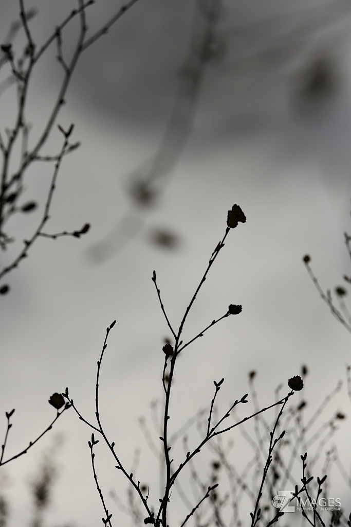 Impression