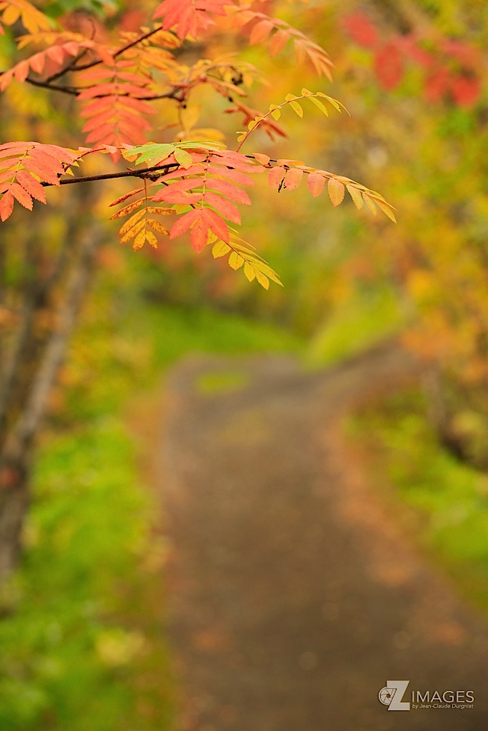 Automne