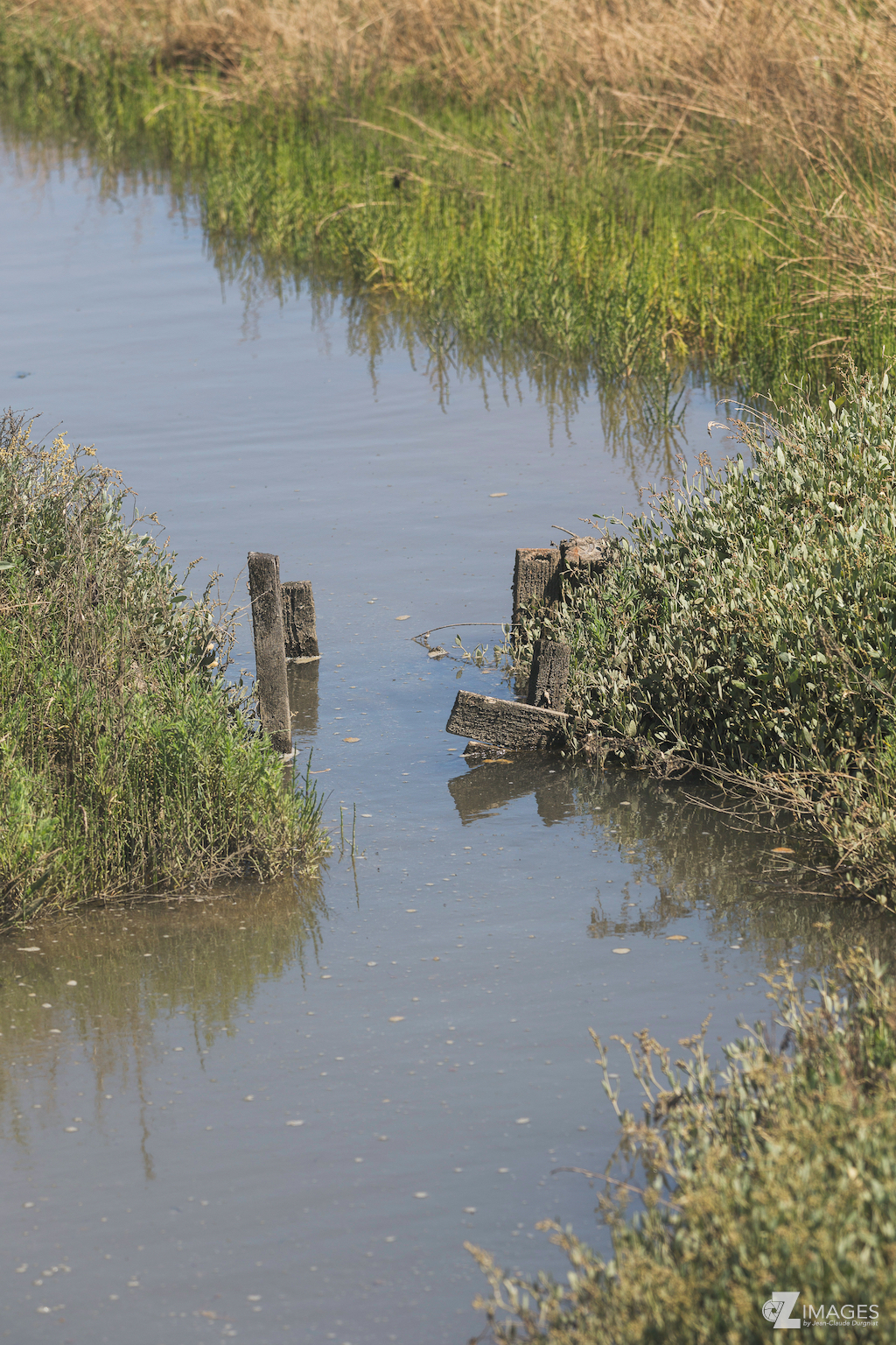 Au milieu des Marais Salants