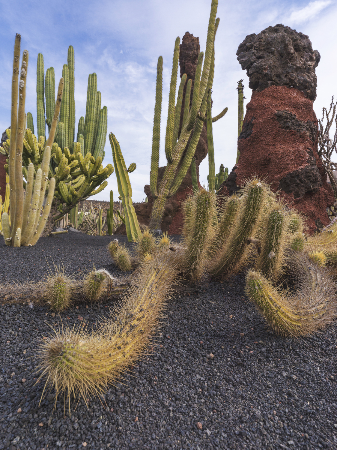 Lanzarote 20211122 0195 web