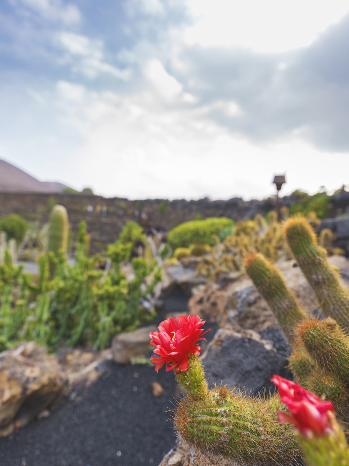 Lanzarote 20211122 0239 web