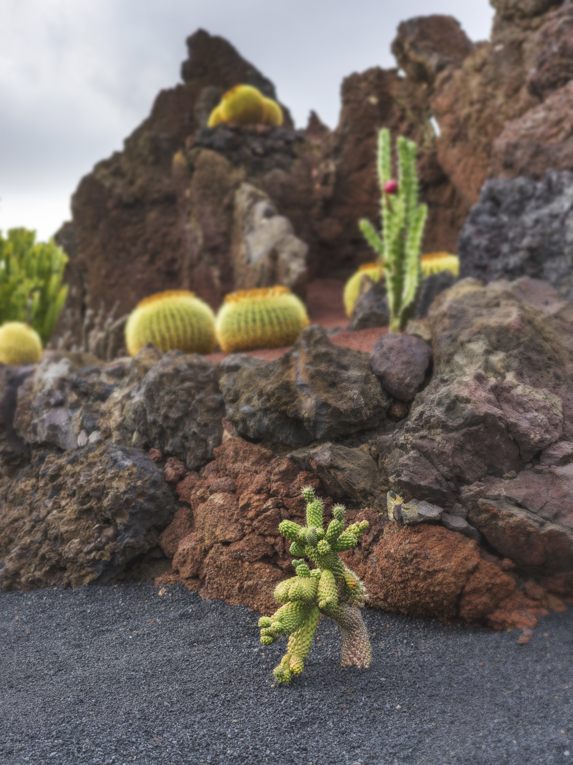 Lanzarote 20211122 0254 web