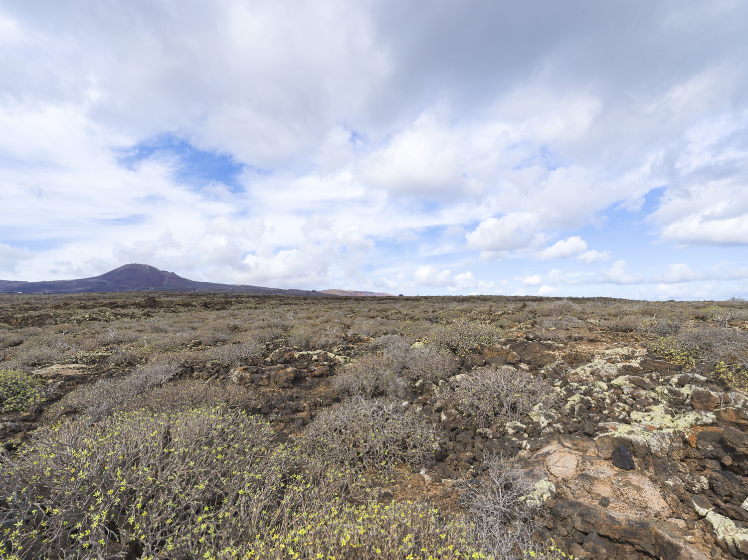 Lanzarote 20211123 0353 web