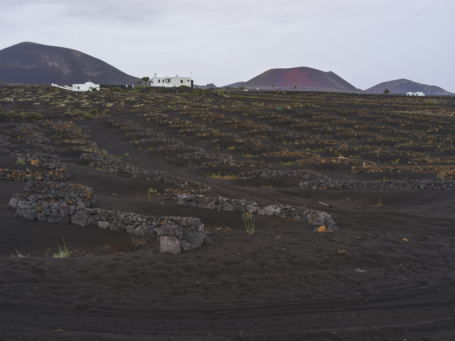 Lanzarote 20211125 0519 web