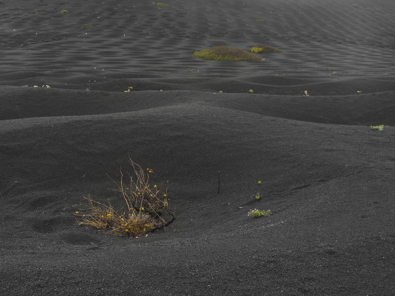 Lanzarote 20211126 0535 web