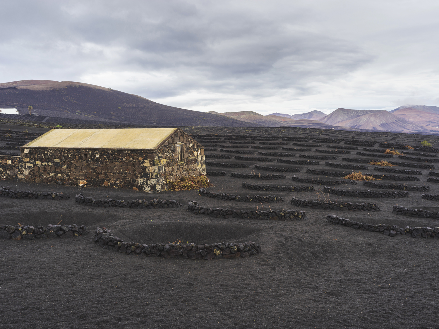 Lanzarote 20211126 0538 web