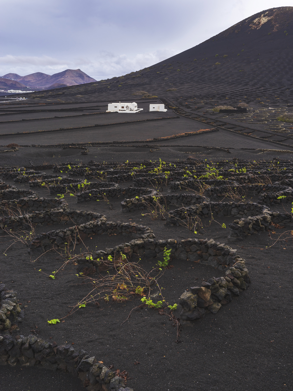 Lanzarote 20211126 0545 web