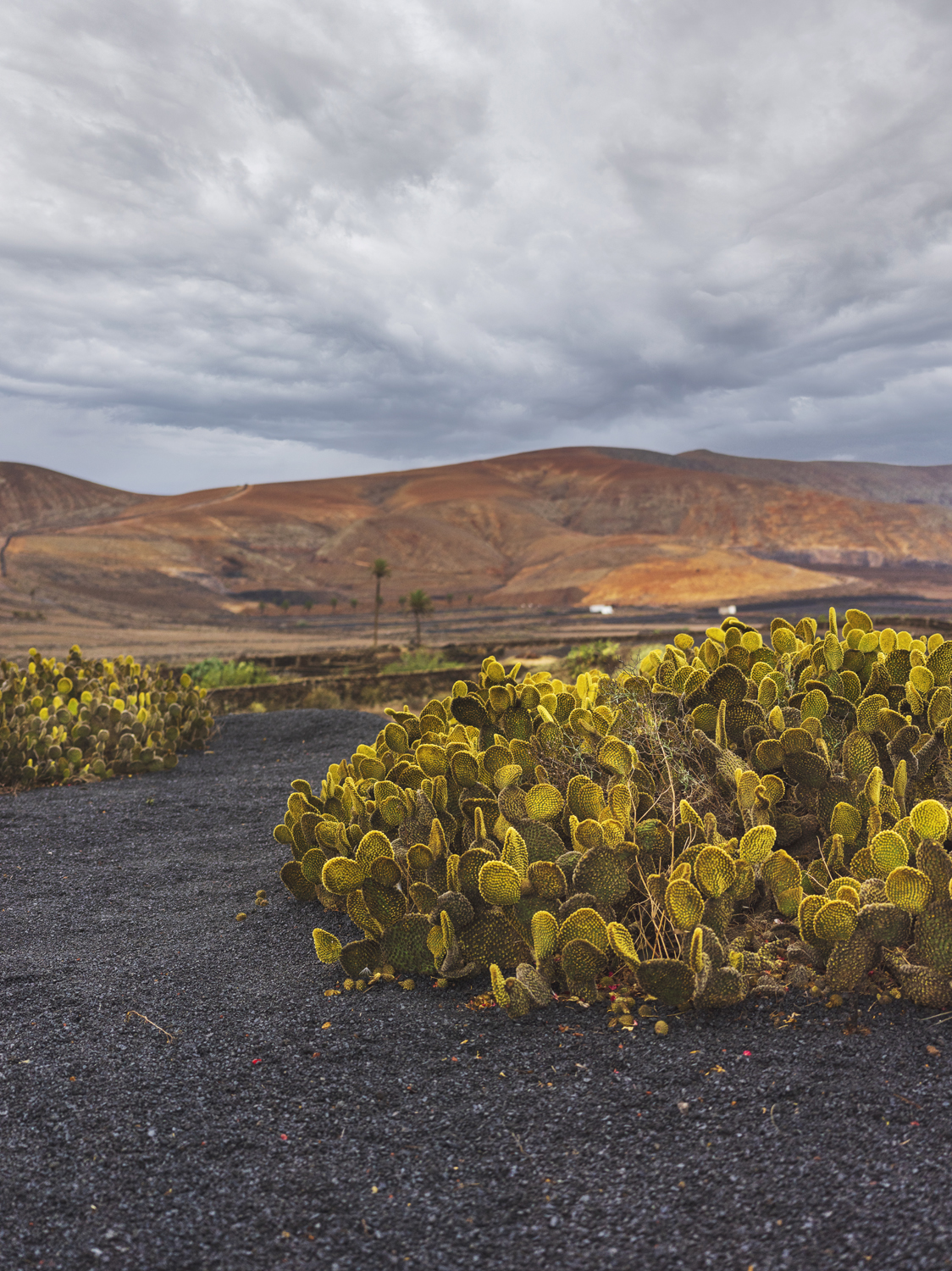 Lanzarote 20211126 0549 web