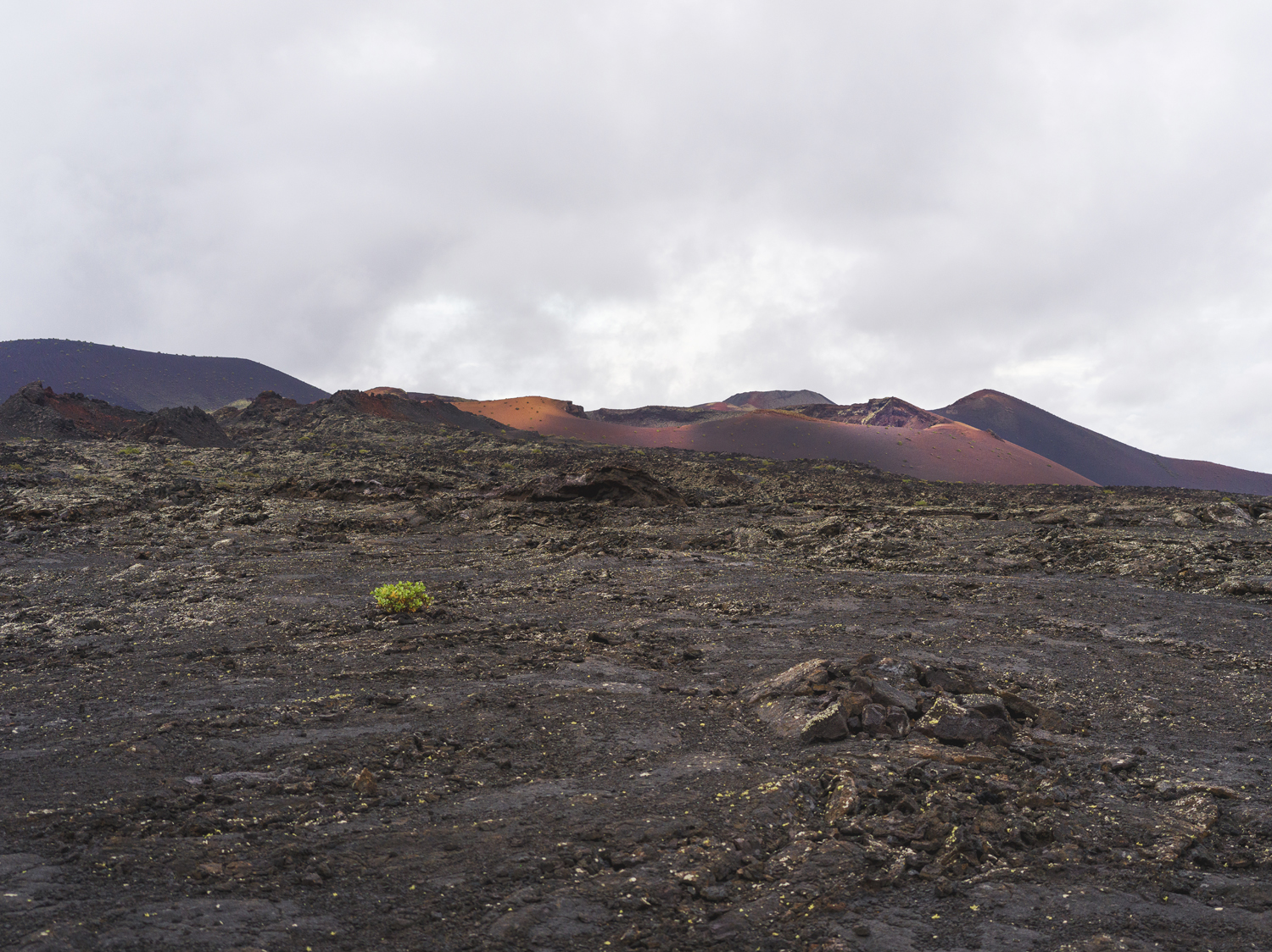 Lanzarote 20211126 0555 web