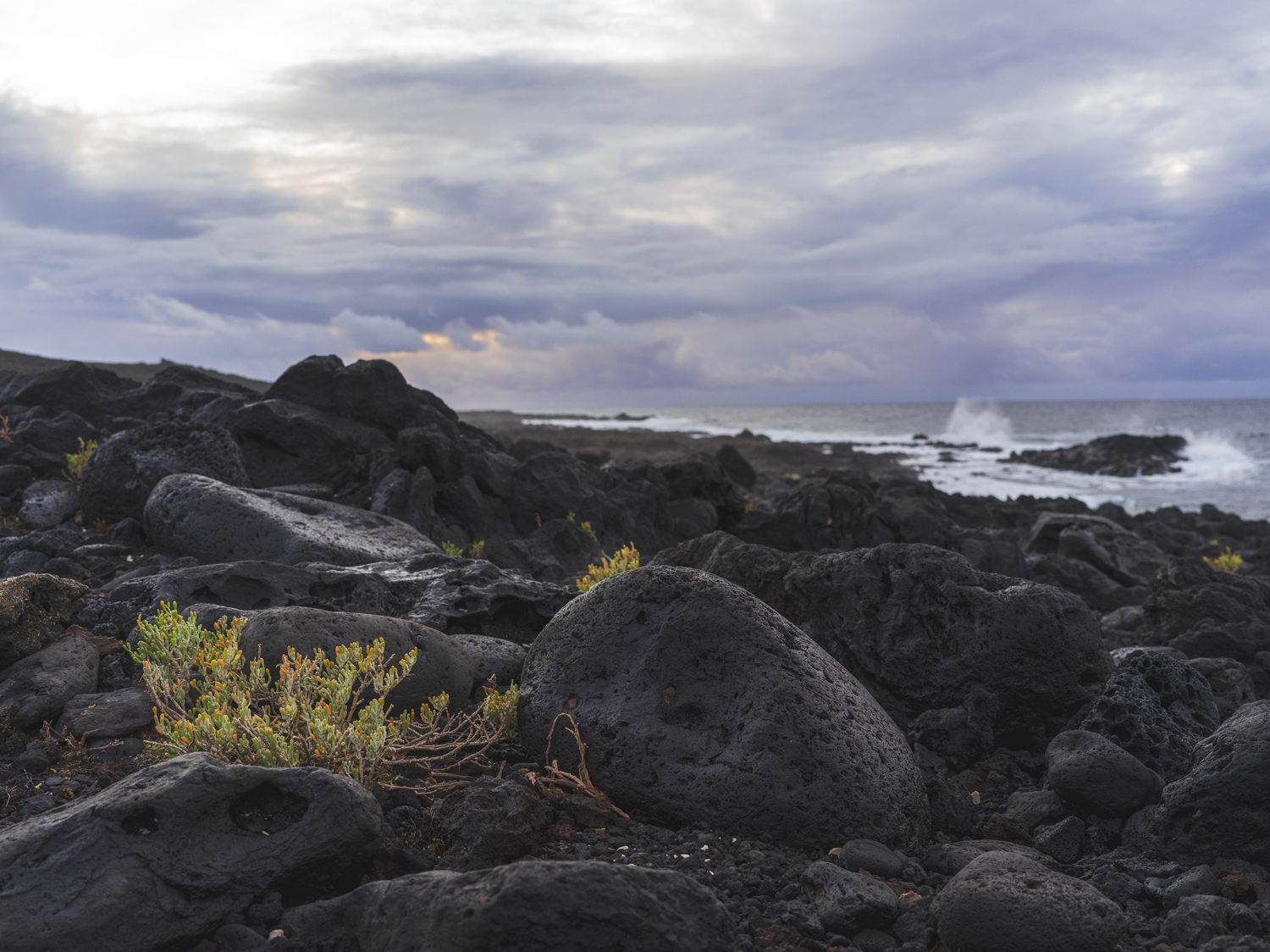 Lanzarote 20211126 0566 web
