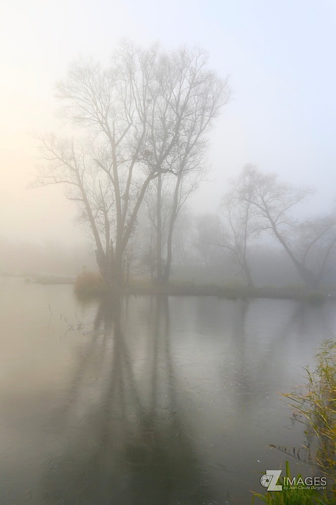 Creux de Terre - Chavornay