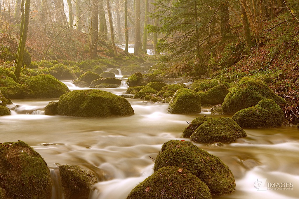 Rivière sauvage