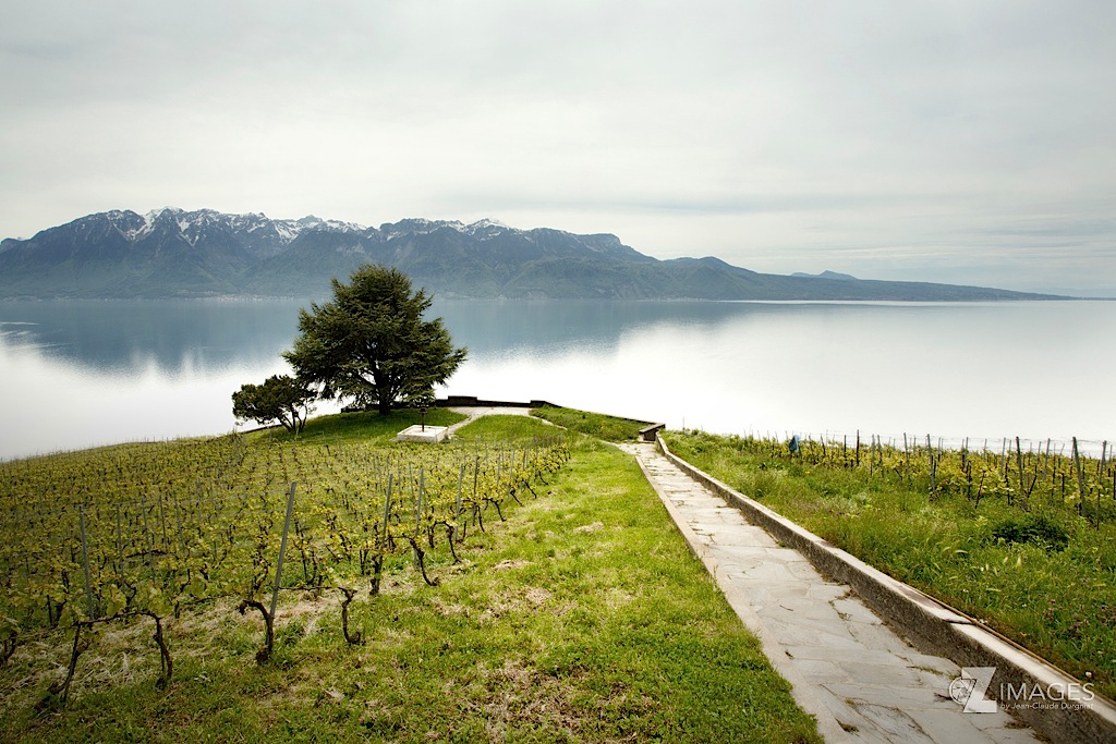 Le Lavaux
