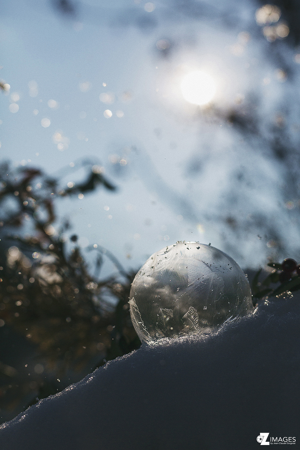 La bulle