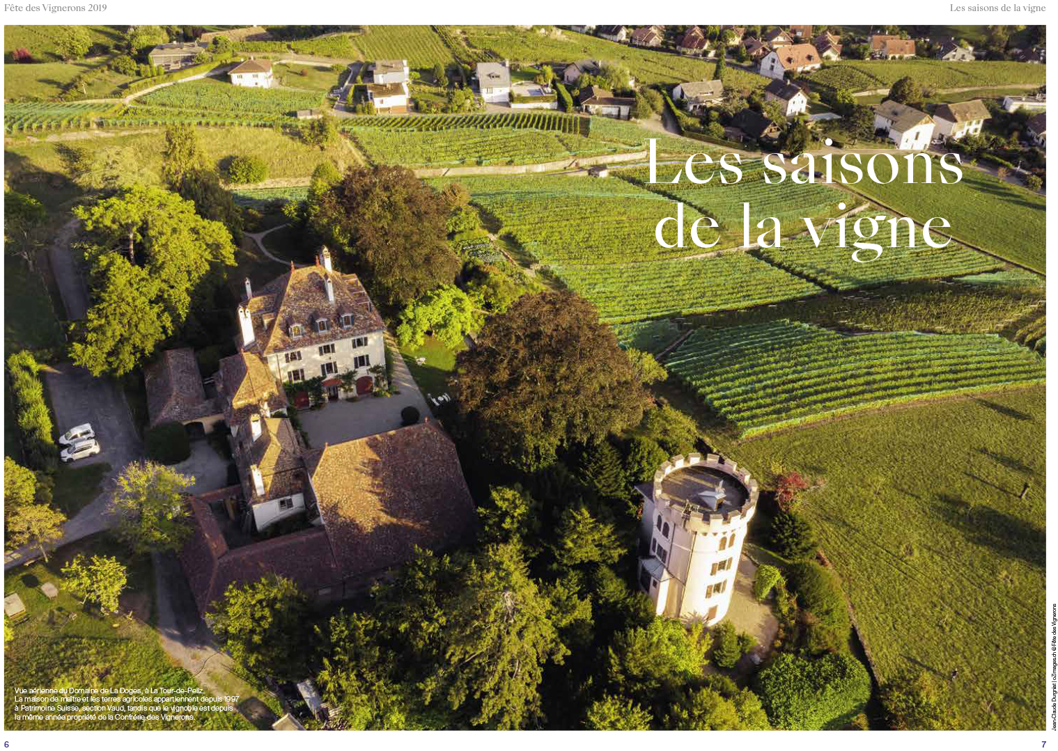 Les vendanges au Domaine de La Doges 2018