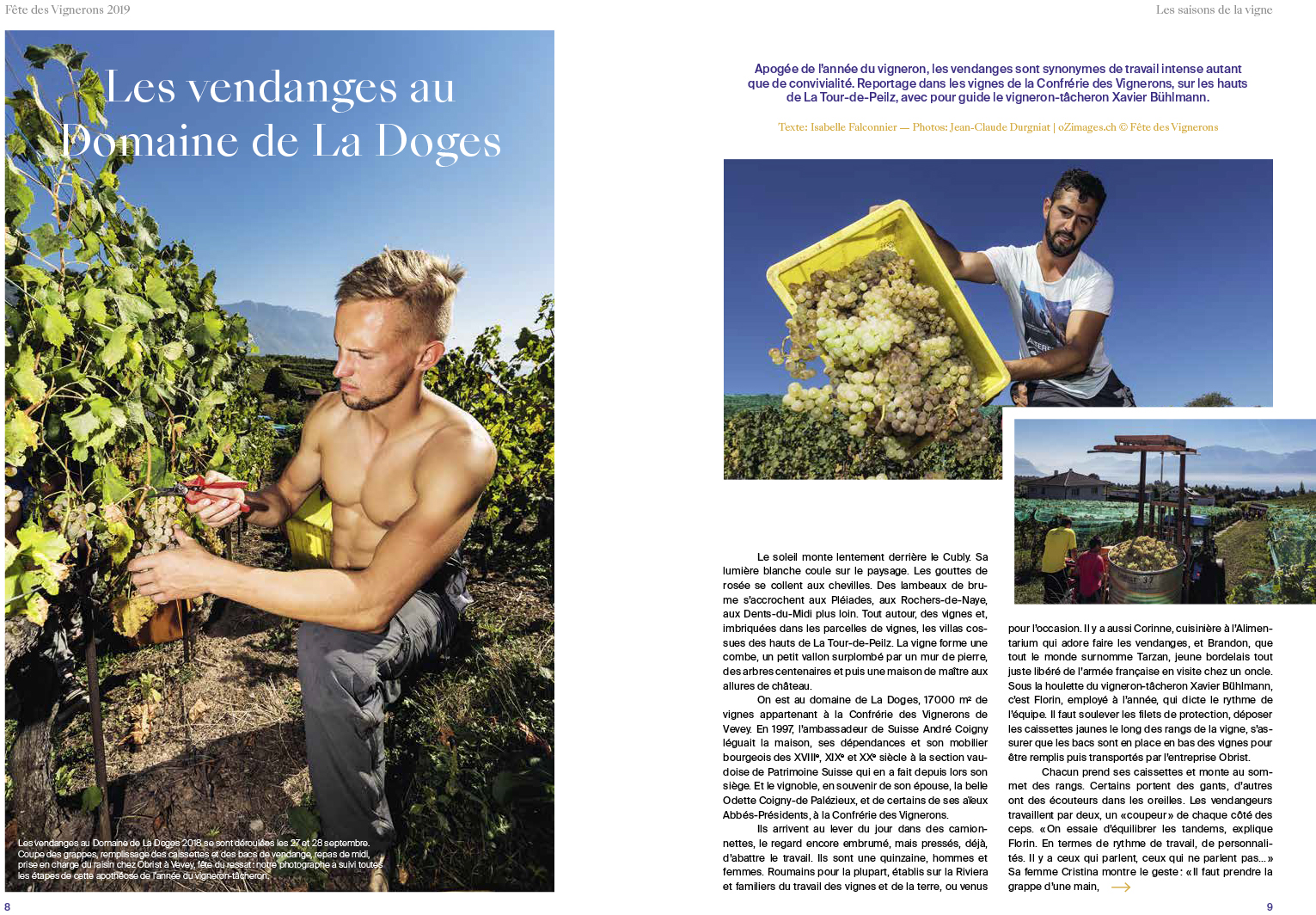 Les vendanges au Domaine de La Doges 2018