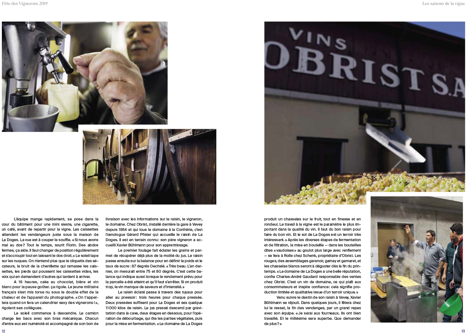 Les vendanges au Domaine de La Doges 2018